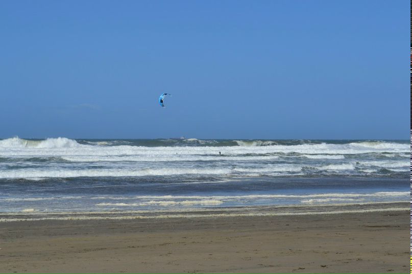 Леся Минаева | San Francisco