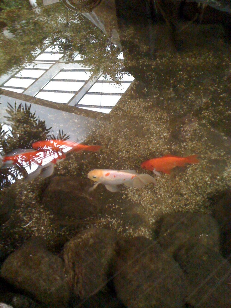 Maria Artsimovich | Bitterfeld-Wolfen