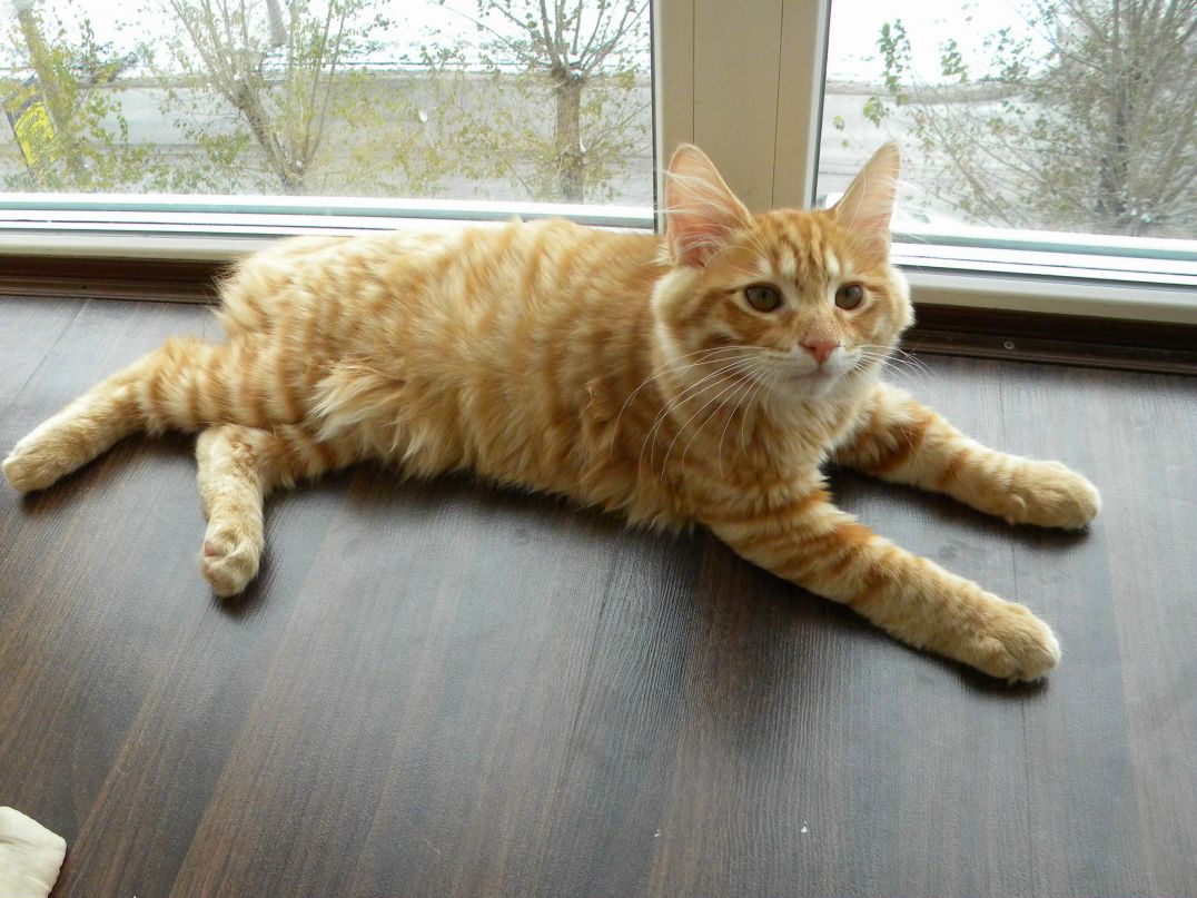 Наталья Мильчарек | Омск