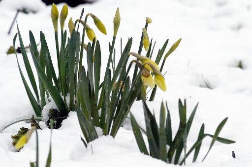 Катик Касаткина | Москва