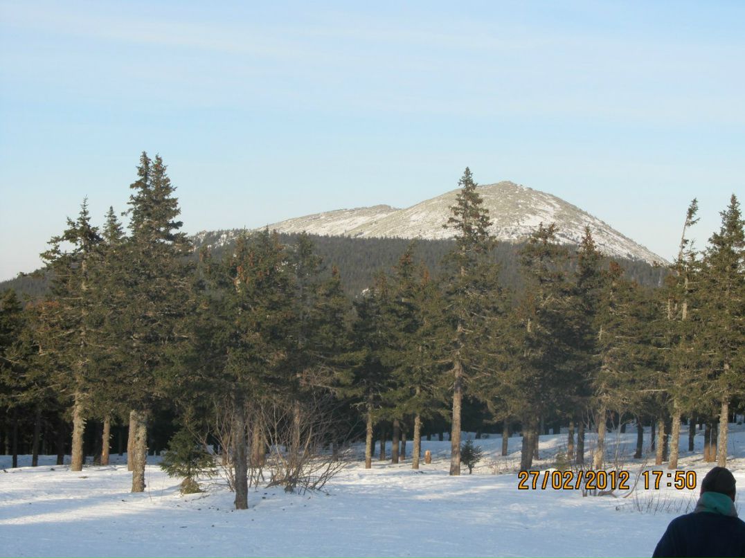 Андрей Желнин | Тыгиш