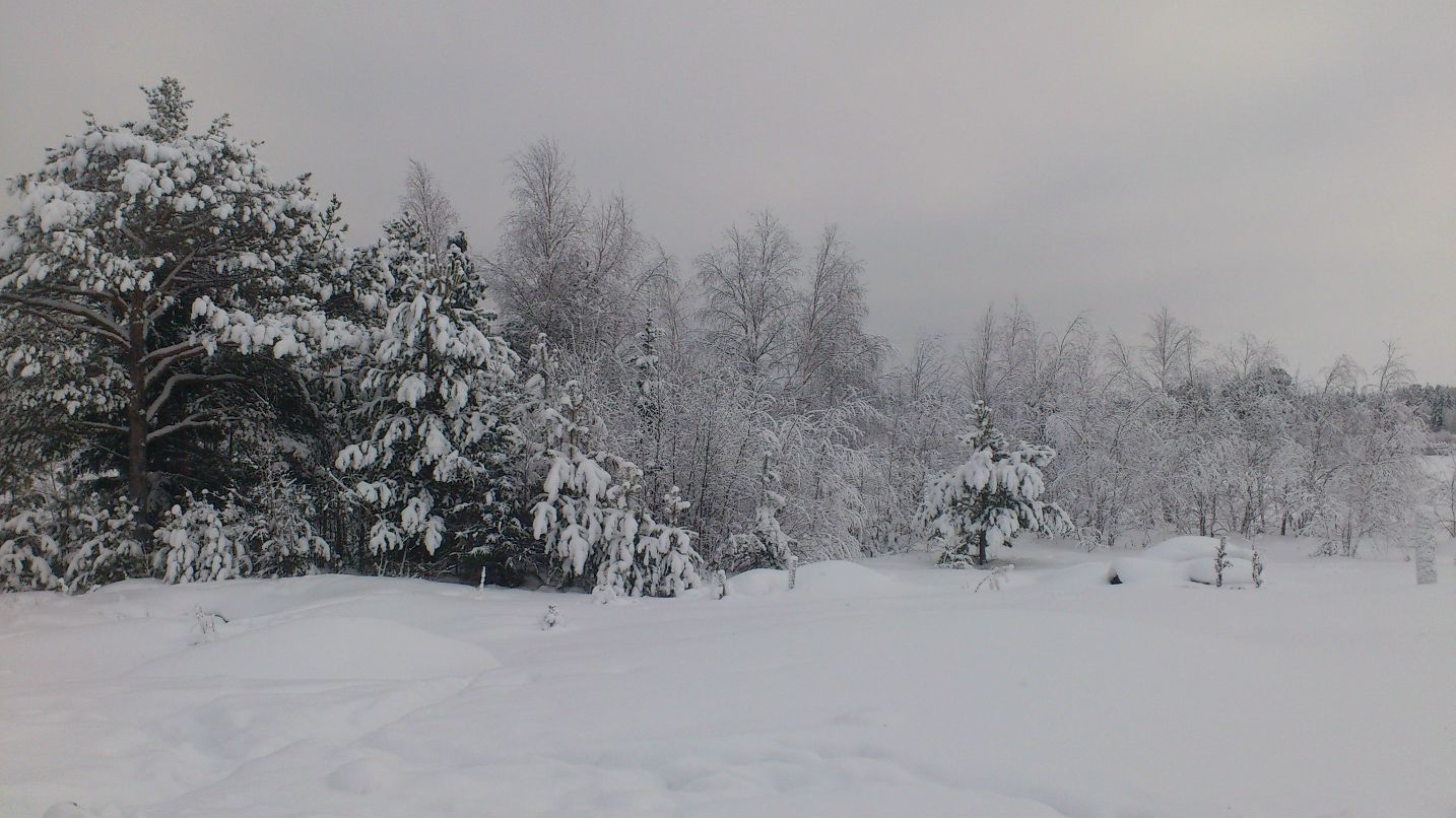 Руслан Кашапов | Екатеринбург