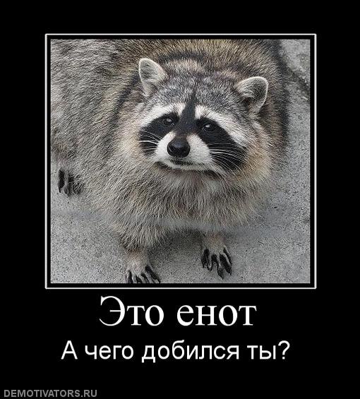 Дмитрий Осоцкий | Запорожье