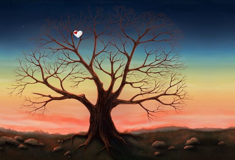 Юлия Куришко | Черкассы