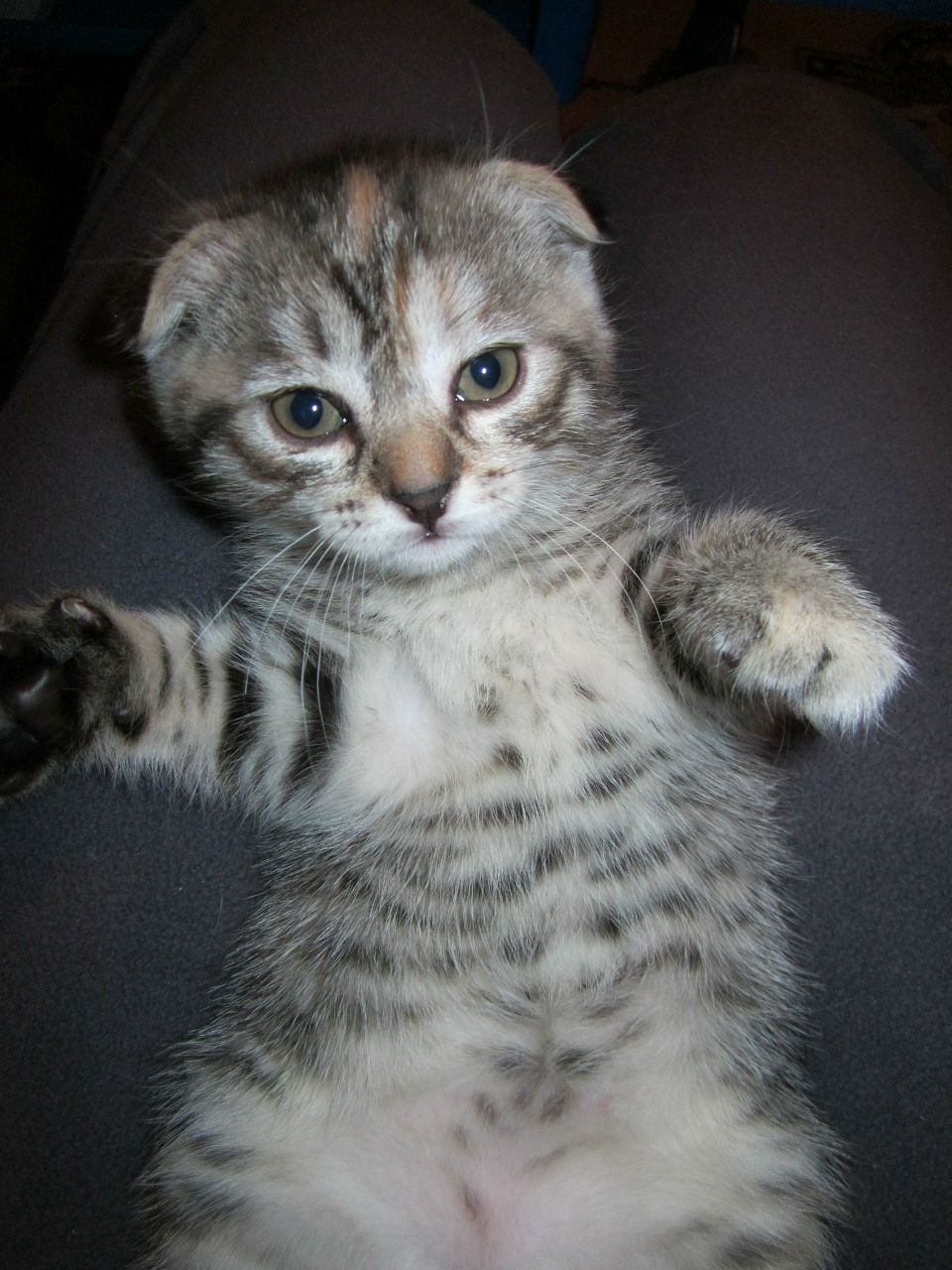 Анастасия Черкасова | Москва