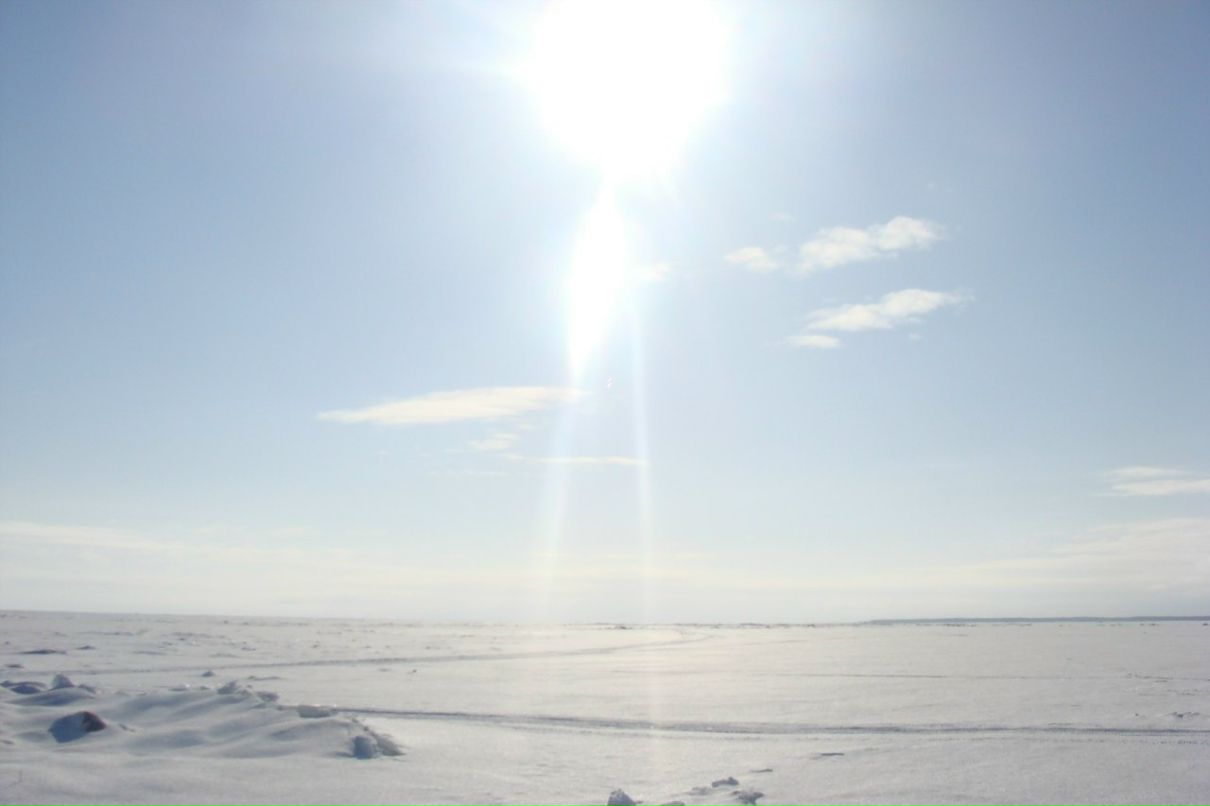 Саша Кузнецова | 