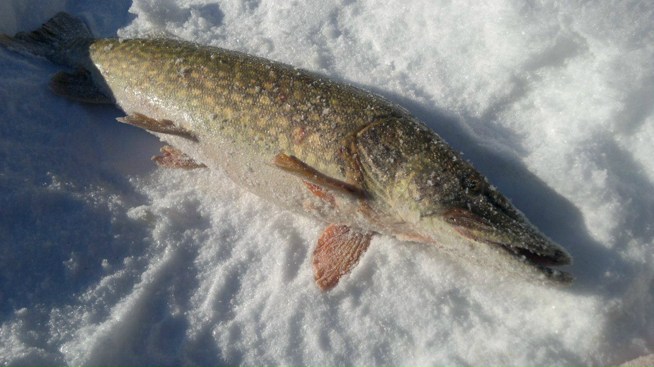Дмитрий Ивкин | Усинск