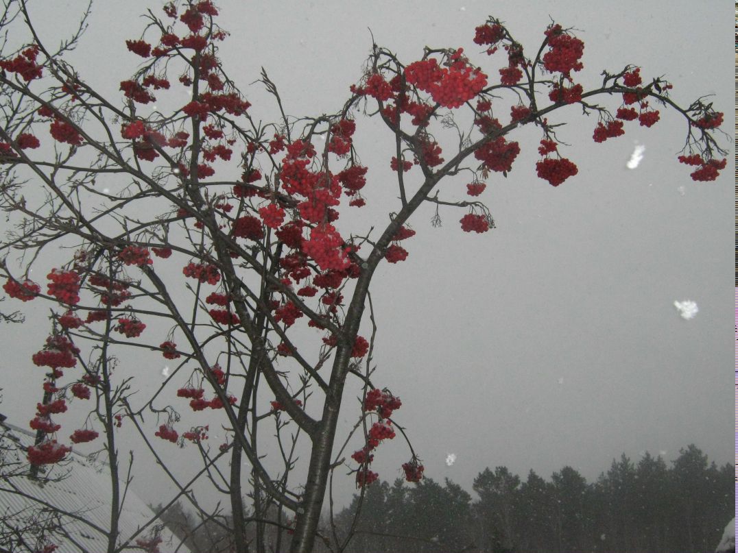 Татьяна Усоцкая | Курган