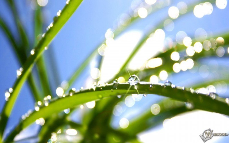 Ольга Zzz | Москва