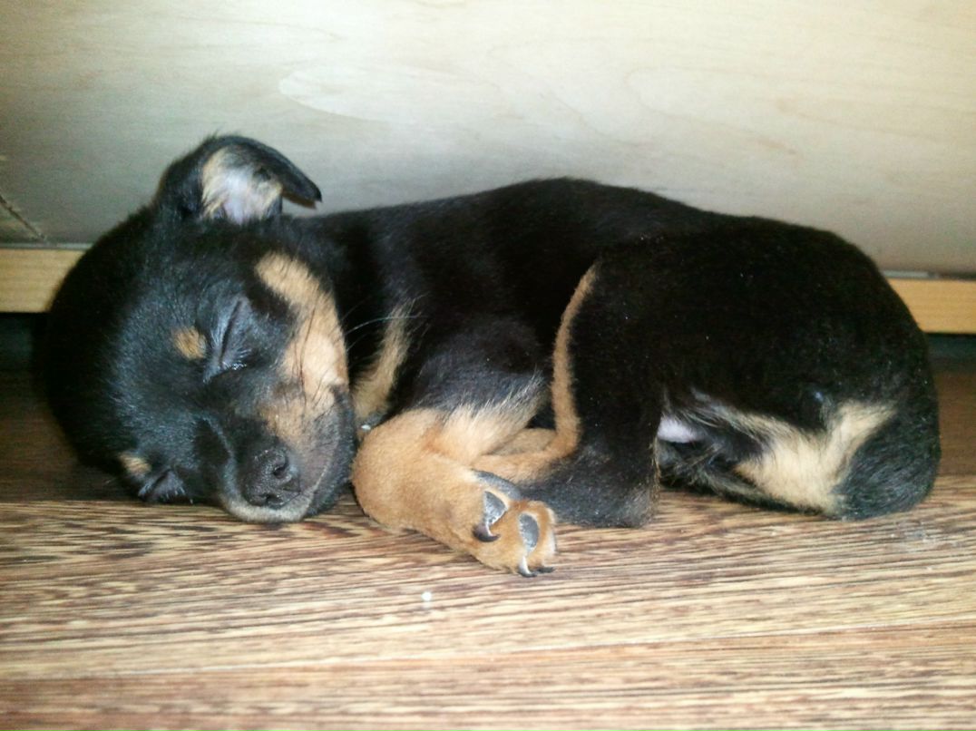 Валерия Токарева | Омск