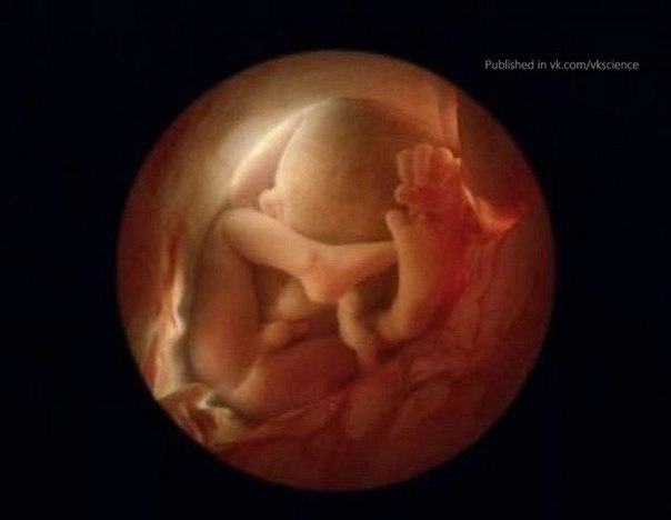 Наташа Радова | Санкт-Петербург