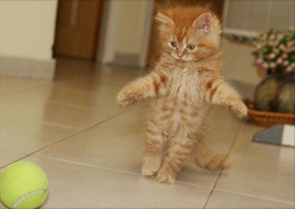 Светлана Матюнина Николаевна | Горишние Плавни / Комсомольск