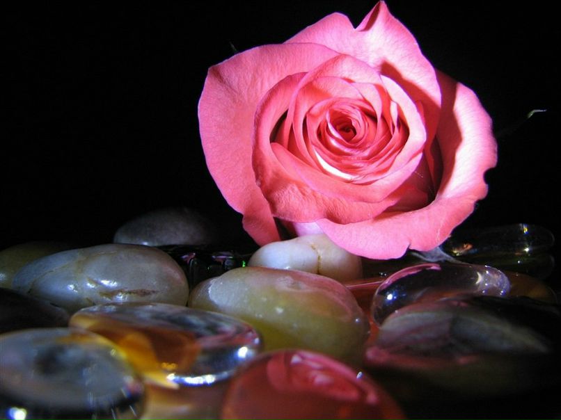 Кира Аниканова | Тамбов