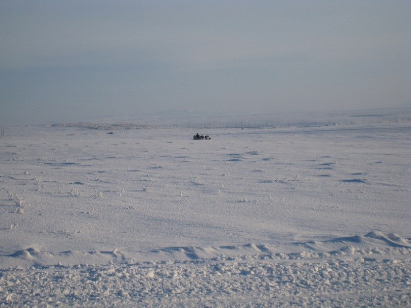 Герман Туркин | Мышкин