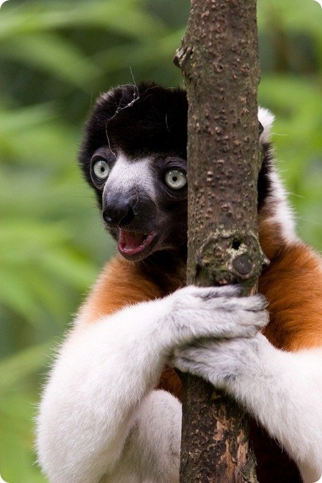 Кирилл Фёдоров Кирилик | Ижевск