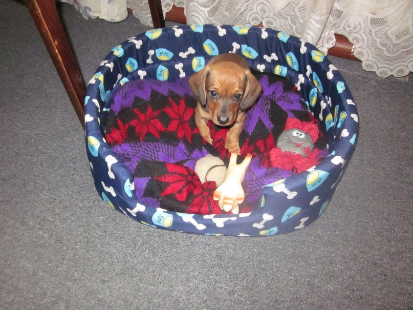 Анюта Лемешко | Архангельск