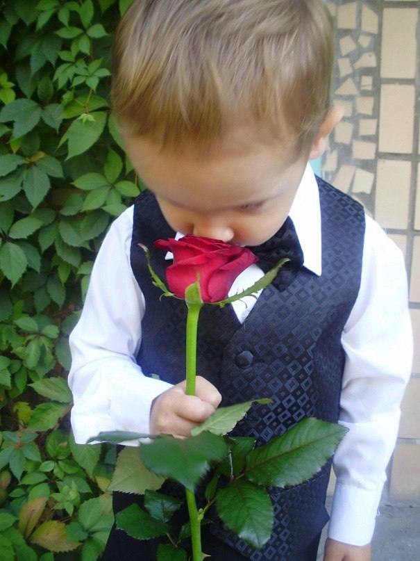 Генка Весенний | 