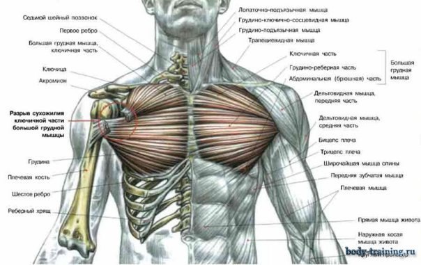 Олег Горшунов | Санкт-Петербург