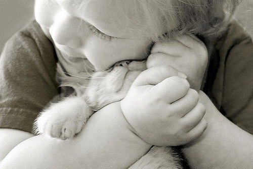 Юлия Соколенко | Киев