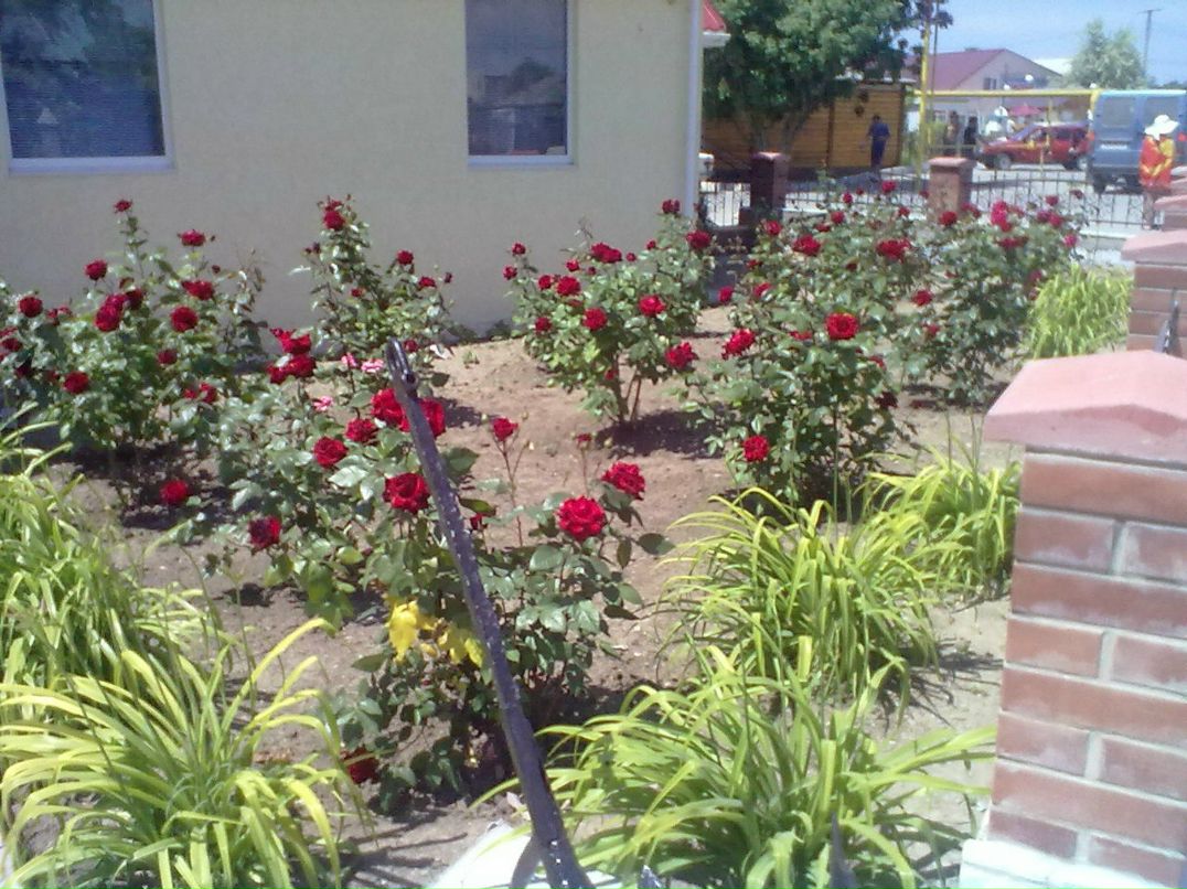 Юрий Вербицкий | Харьков