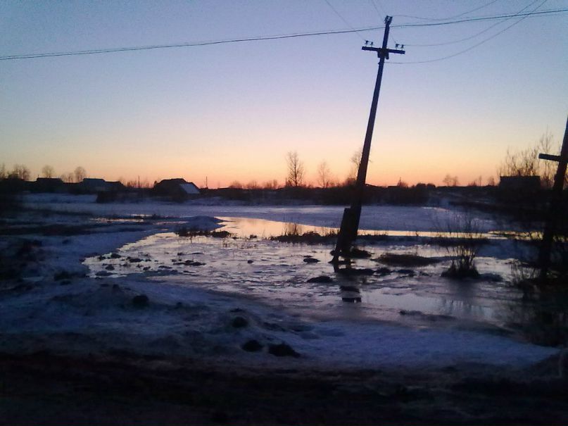 Татьяна Царегородцева | Шаранга