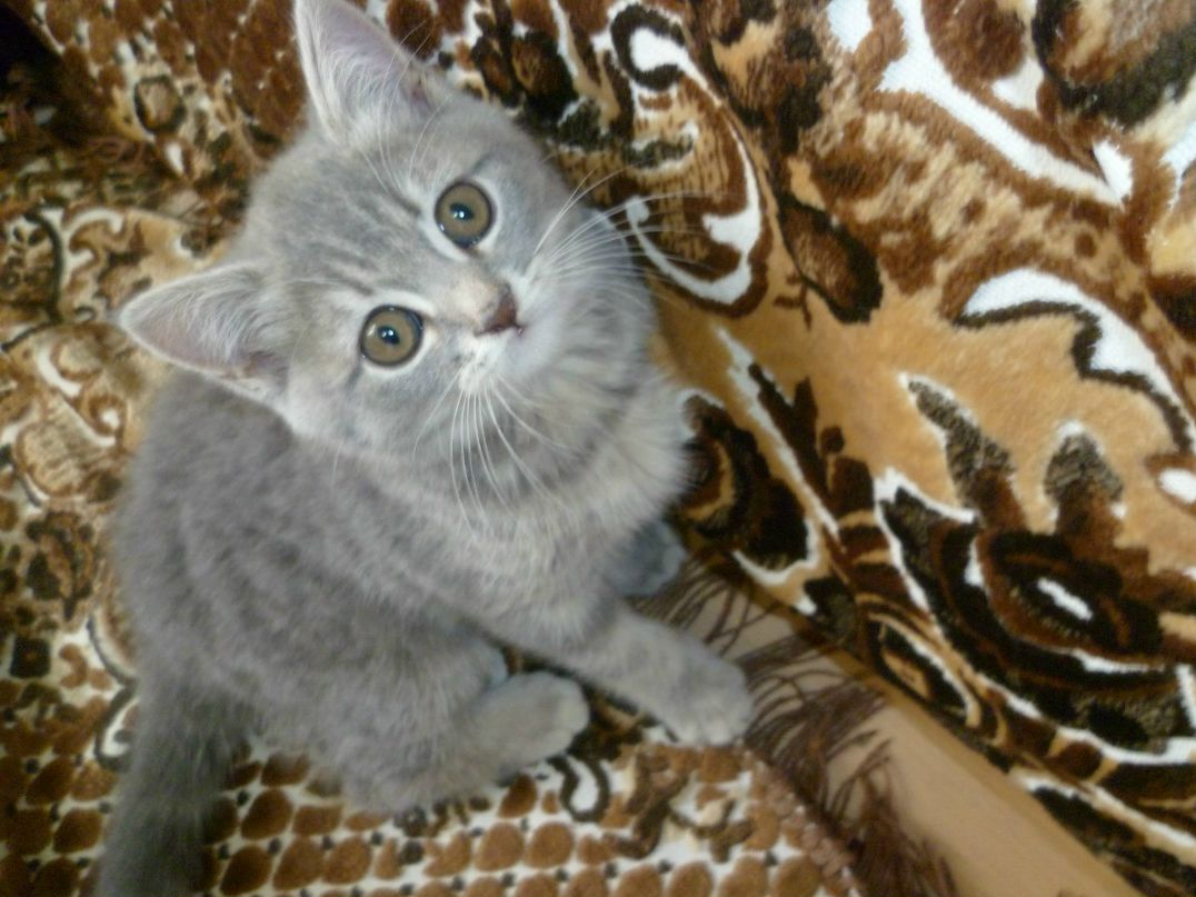 Аня Дородных | Донецк