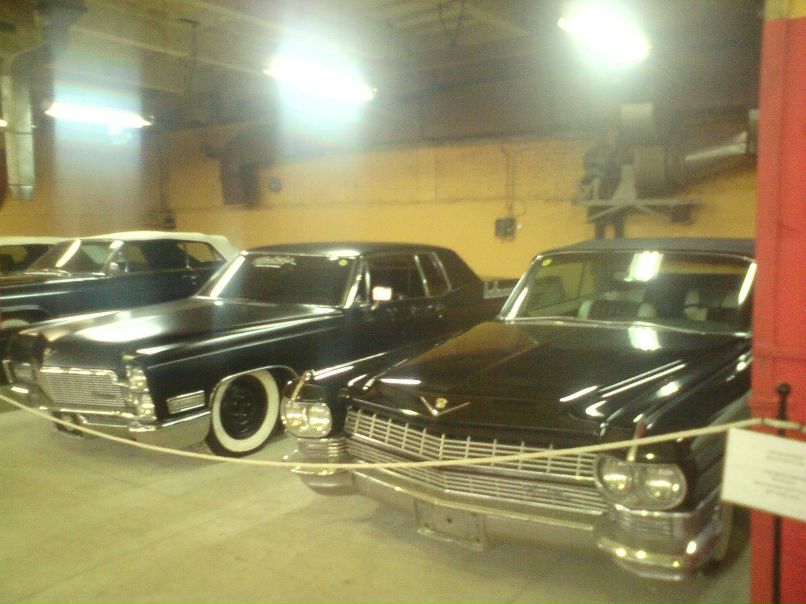 Дмитрий Николаев | Завидово