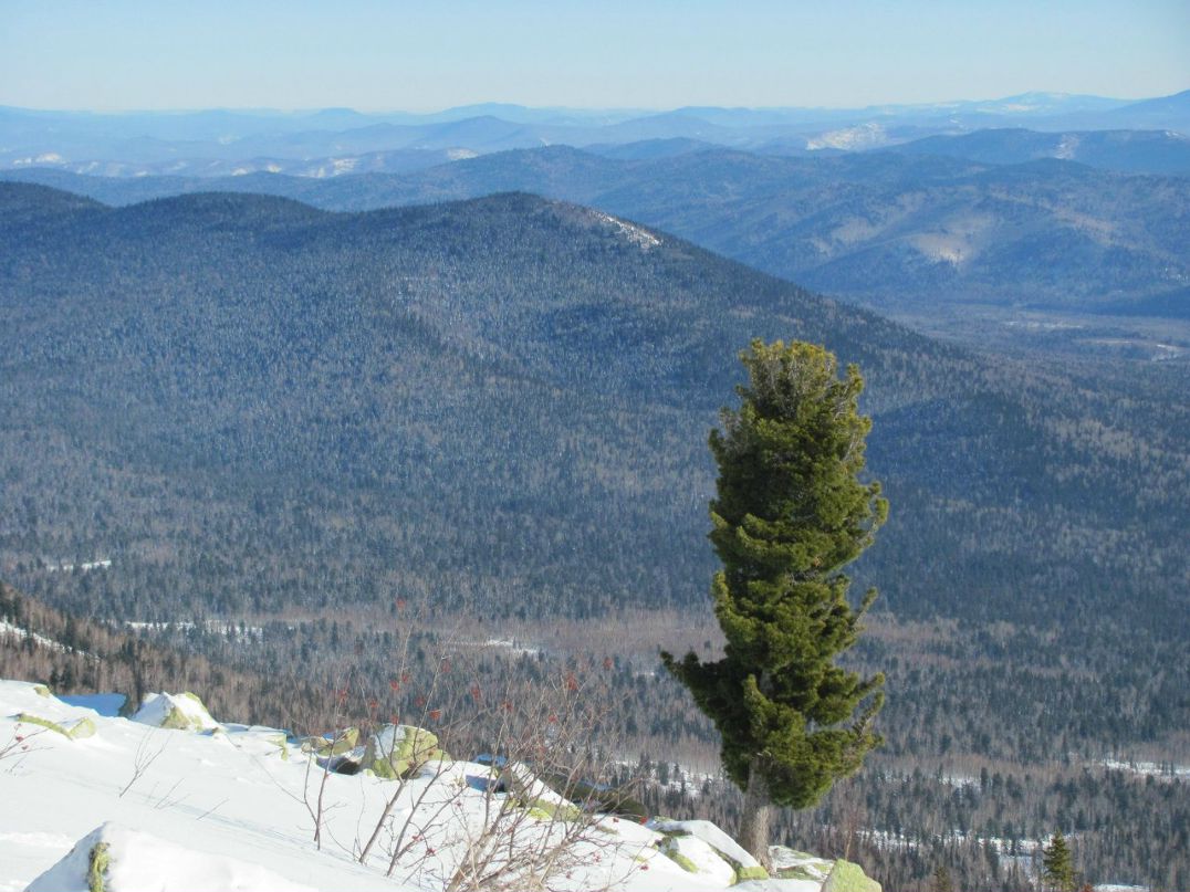 Вера Зотова | Санкт-Петербург