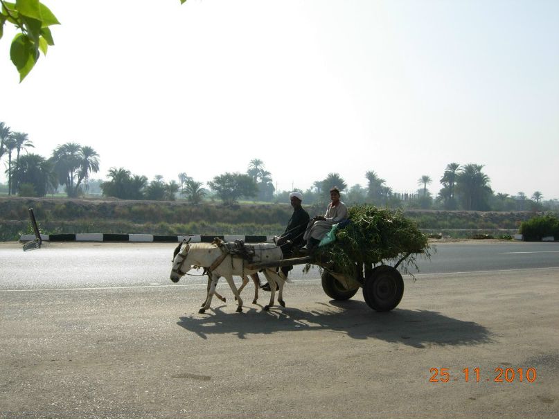 Галина Антонова | Тюмень