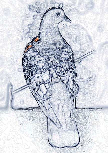 Алексей Анцыферов s@ilor | Мытищи