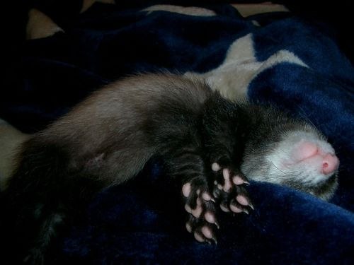 Алексей Рисованый | Харьков