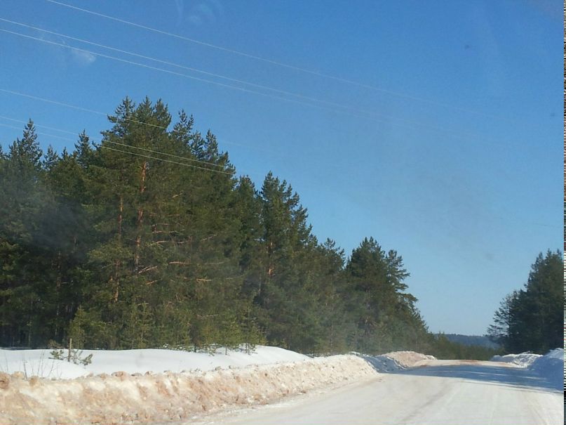 Нина Воронцова | Санкт-Петербург