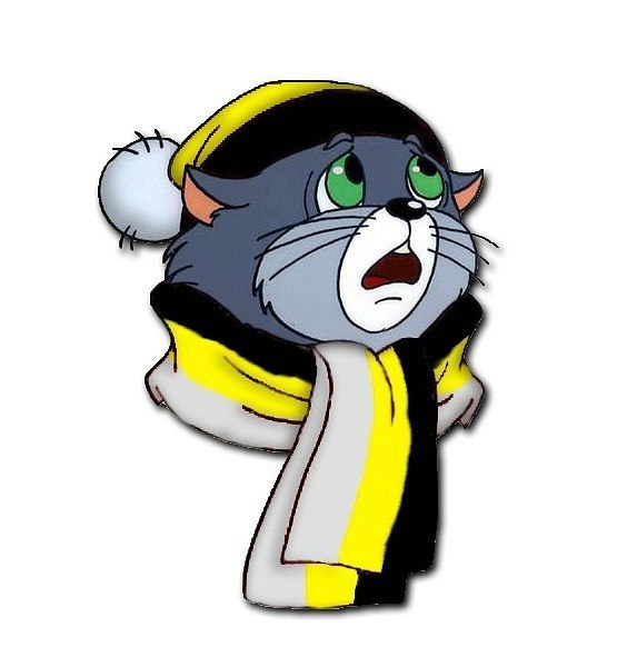 Владимир Кочин | Ярославль