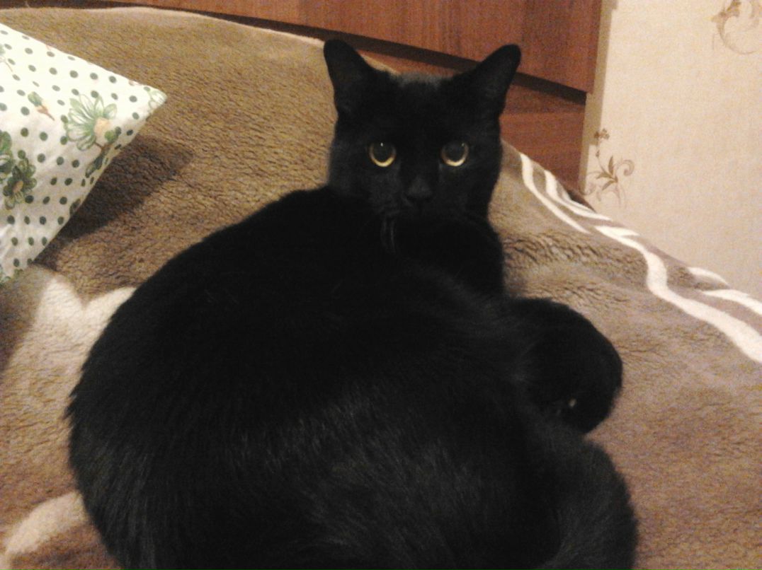 Наталия Бесфамильная | Москва