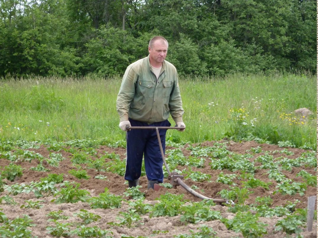 Виталий Семичев | Череповец
