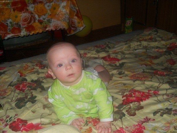 №9, Елизавета Ширяева №9, Елизавета Ширяева