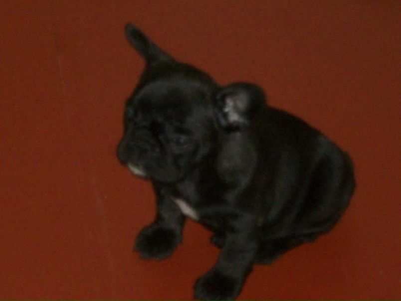 №21, Михаил Прохоров, 46 лет, Харьков №21, Михаил Прохоров, 46 лет, Харьков