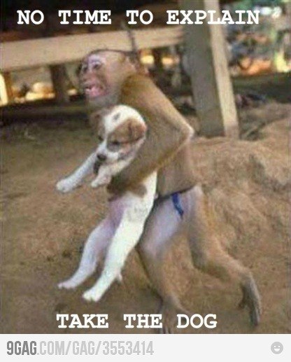 №25, Юля Саламатова, 5.5, Санкт-Петербург №25, Юля Саламатова, 5.5, Санкт-Петербург