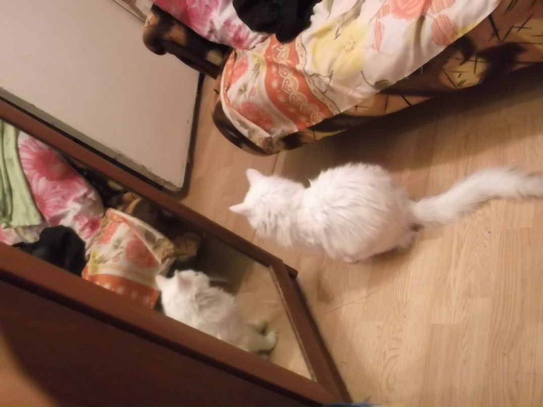 Ирина Антонова | Санкт-Петербург