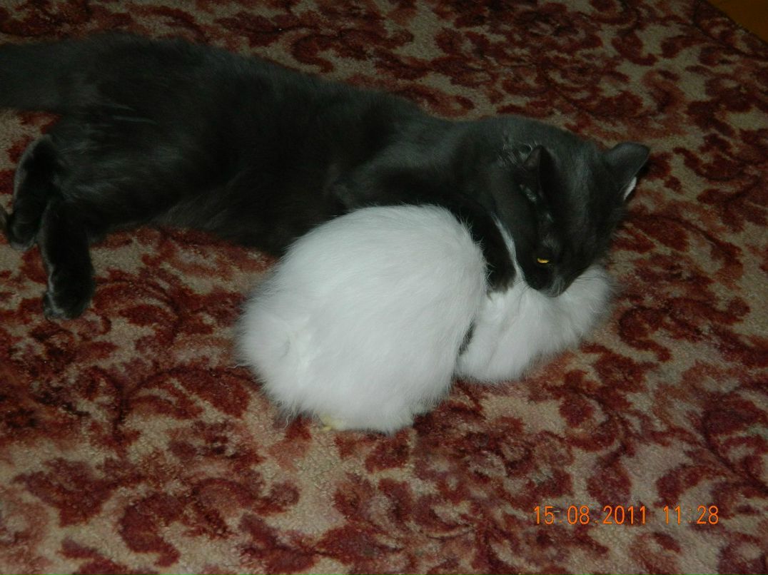 Евгений Мельниченко W | Челябинск