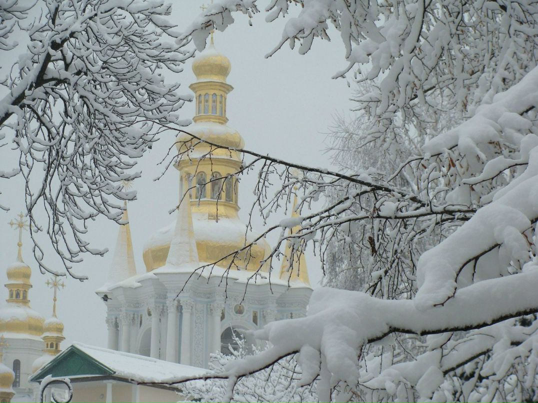 Юлия Кушнир | Киев