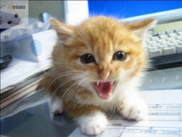 Ильсур Зайнуллин | Казань