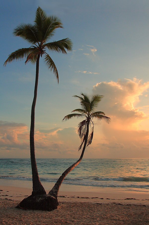 Ива Чернецкая | Санкт-Петербург