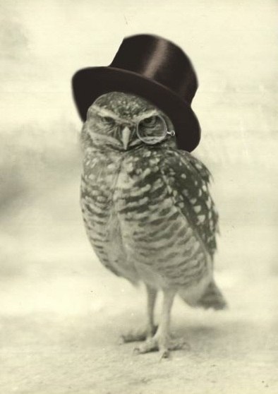 Роман Фефелов -so be it- | Новосибирск