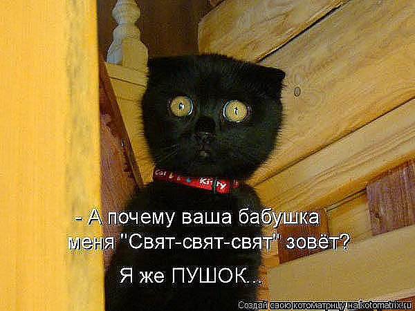 Алёна Замышляева | Луна