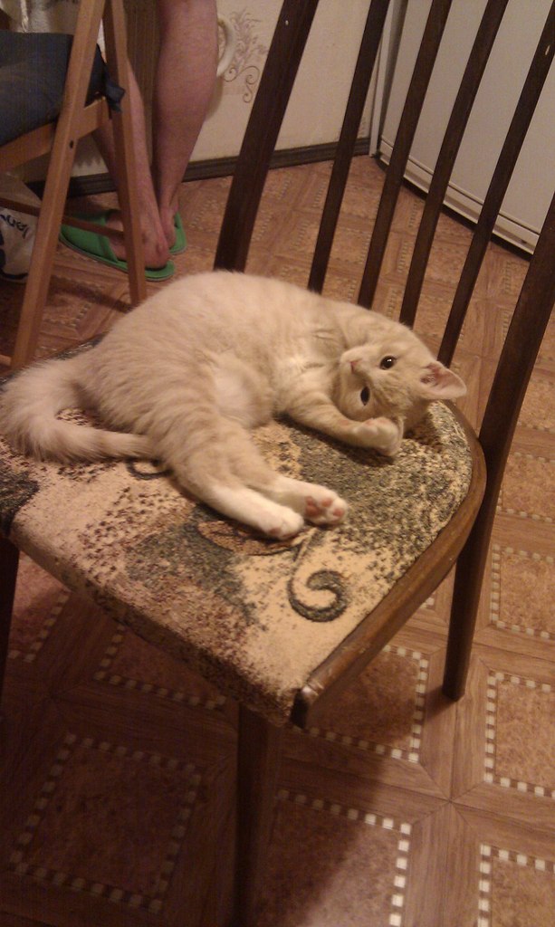 Юлия Рубцова | Палласовка