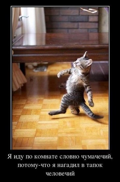 Галина Машкова | Санкт-Петербург