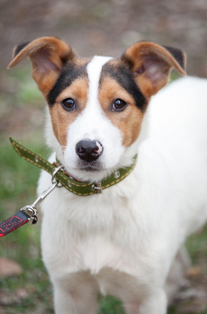 Татьяна Кривенко | Киев