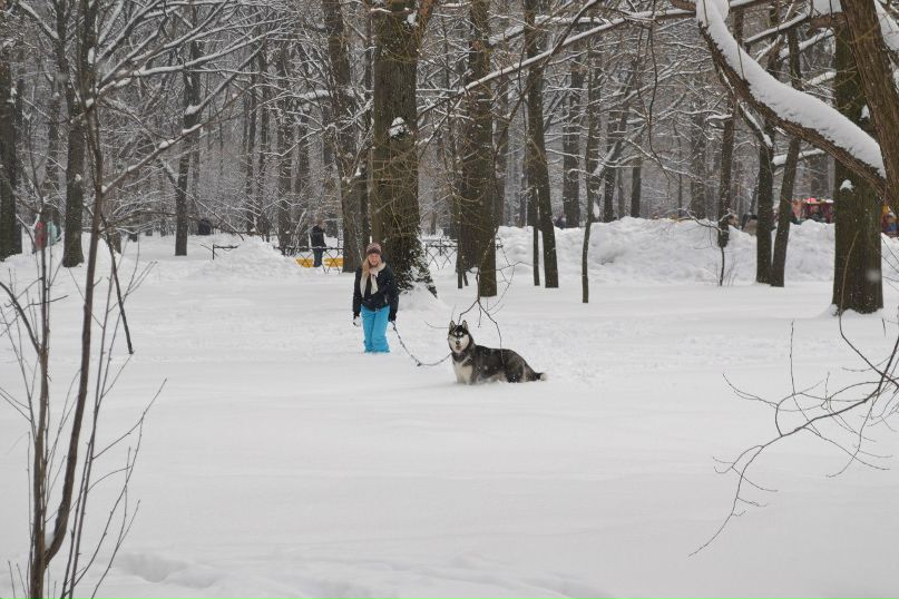 Сластёна Шоколадкина | Москва