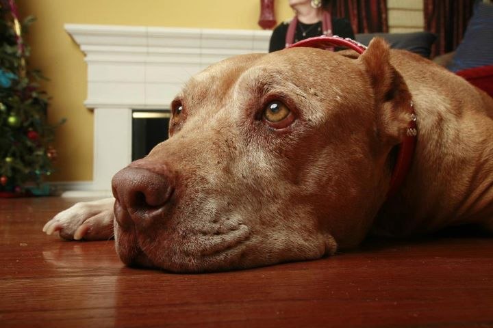 Татьяна Иванова | 